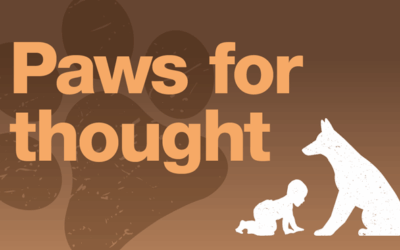 Police urge dog owners to act responsibly after child attacked in Sheffield