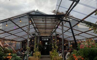 Study reveals Sheffield’s impressive independent alcoholic drinks scene