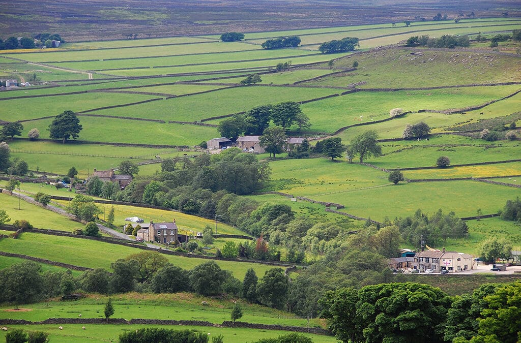 Country Land and Business Association research reveals struggles for rural businesses across Yorkshire