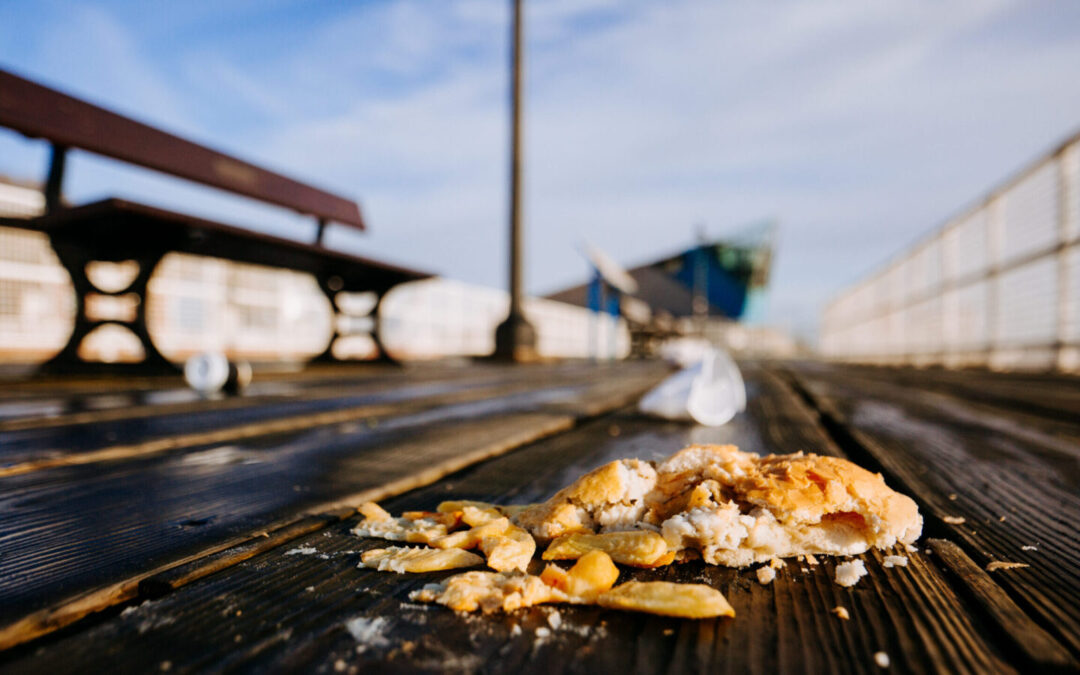 New £3000 fines imposed to crack down on littering offences