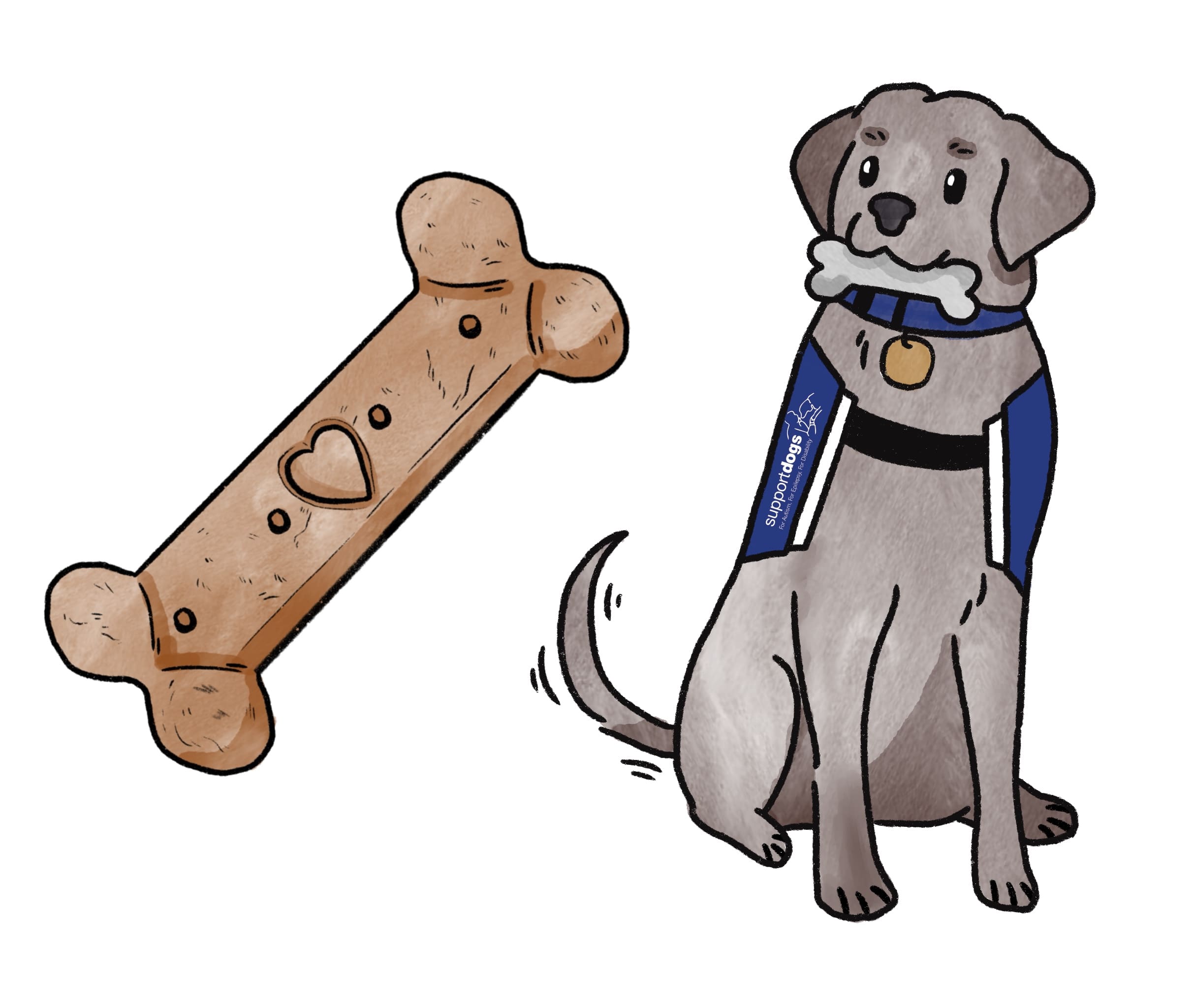 Chocolate labrador holding a bone illustration