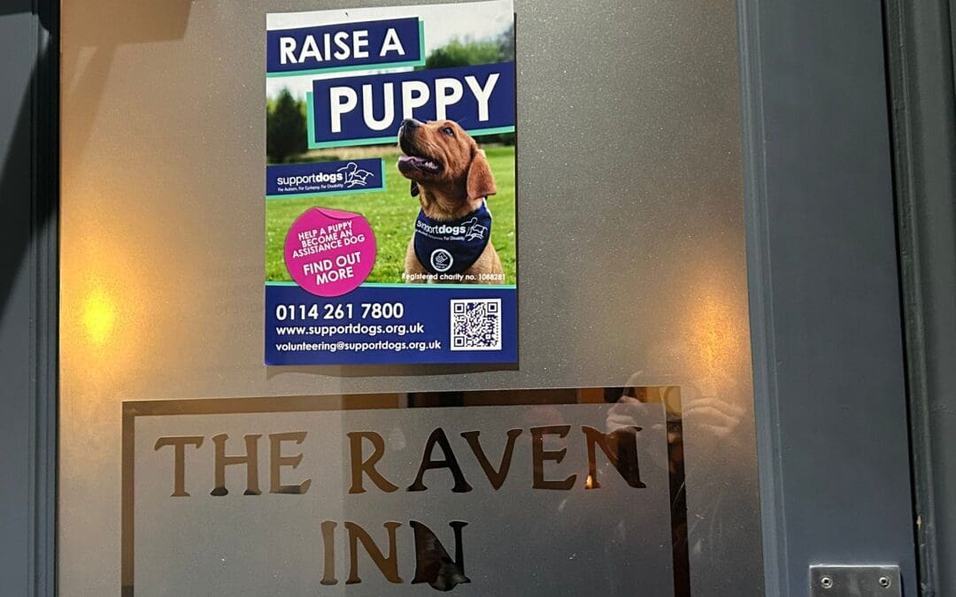 Sheffield pub hosts fundraiser supporting Paws for a Cause