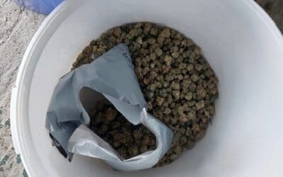 Community tip-off leads Barnsley police to £100,000 cannabis haul and cash seizure