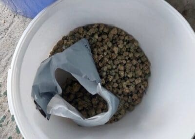 Community tip-off leads Barnsley police to £100,000 cannabis haul and cash seizure