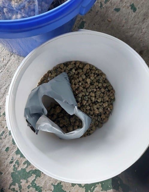 Community tip-off leads Barnsley police to £100,000 cannabis haul and cash seizure