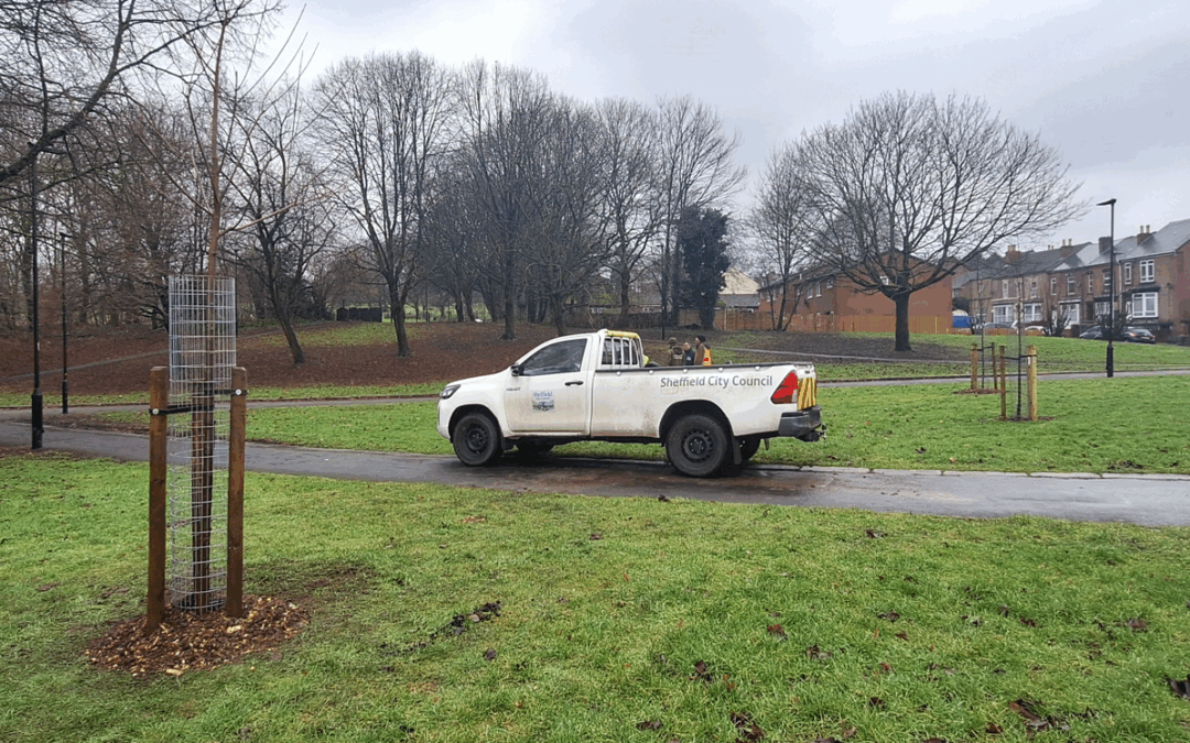 Sheffield Tree Project to expand