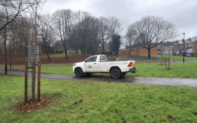 Sheffield Tree Project to expand