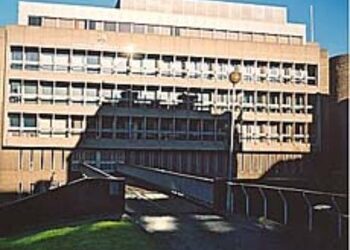 Sheffield woman found guilty after XL Bully caused fear in community