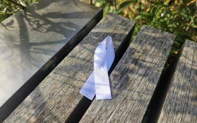 Sheffield Council renews commitment to ending violence against women and girls