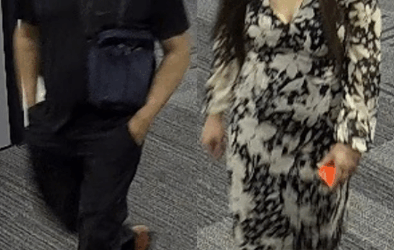 Appeal for alleged computer theft at York University