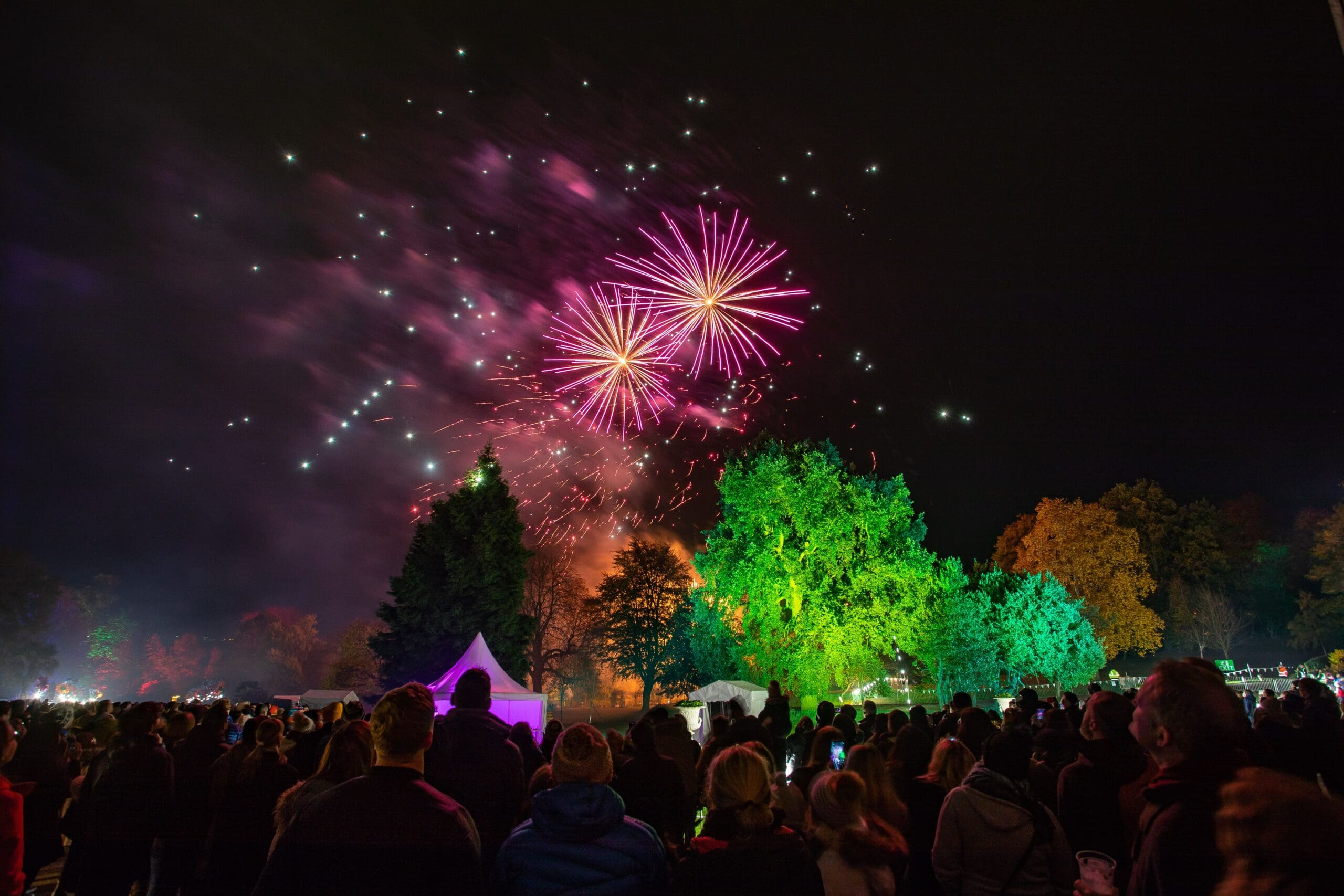 Fireworks over the Botanical Gardens