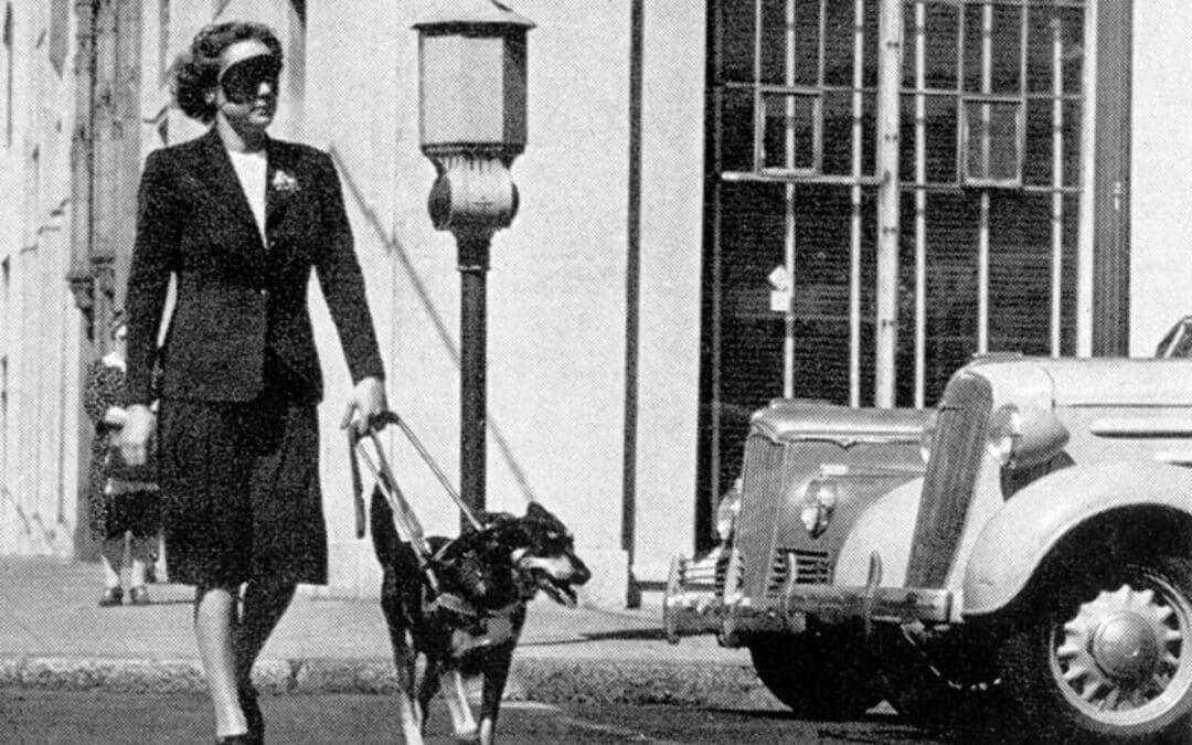 From Ancient Guardians to Lifesaving Companions: The History of Sheffield’s Support Dogs Charity