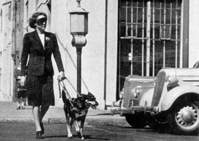 From Ancient Guardians to Lifesaving Companions: The History of Sheffield’s Support Dogs Charity