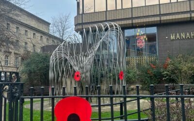 LIVE: Coverage of Sheffield’s Remembrance Day parade
