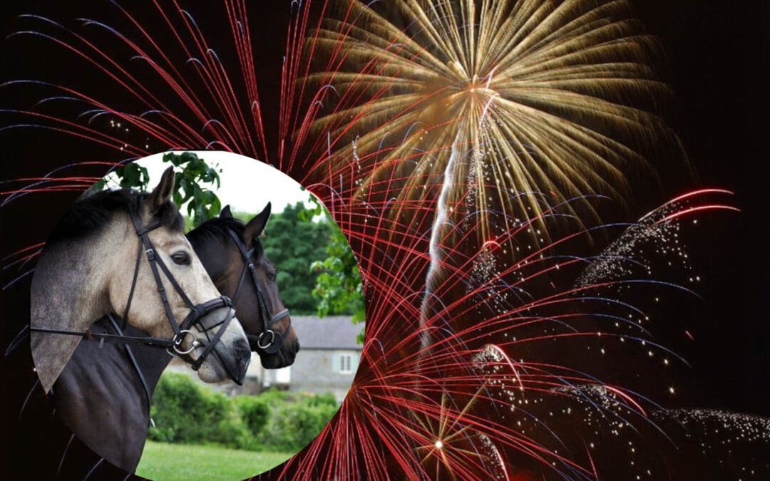 Bonfire Night sparks fear amongst horse owners