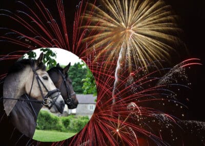 Bonfire Night sparks fear amongst horse owners