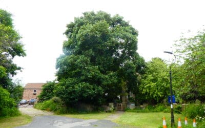 Major changes approved for Hull conservation areas