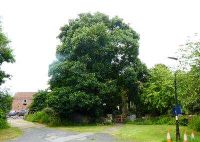 Major changes approved for Hull conservation areas