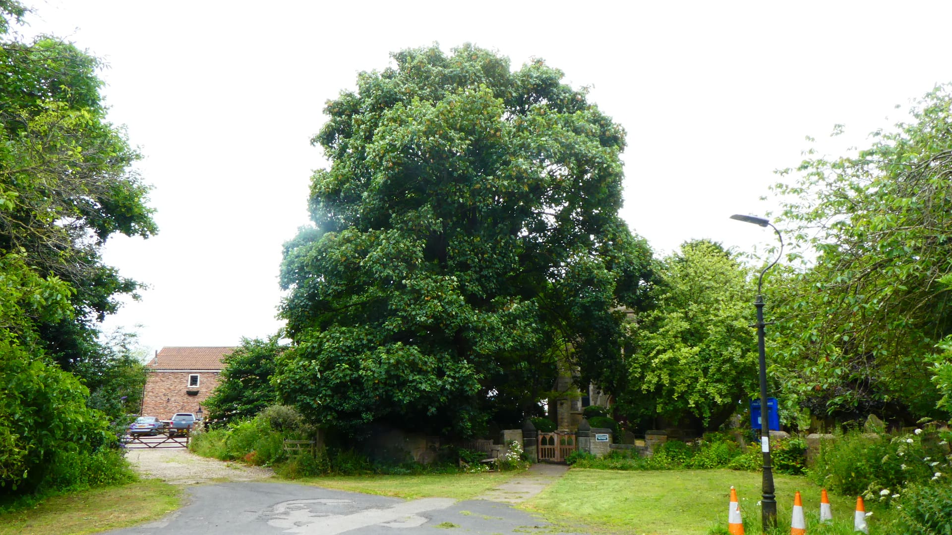 Credit – Hull City Council