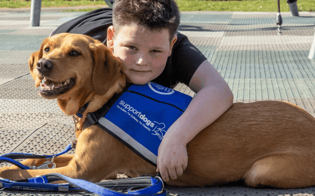 Support Dogs offer advice ahead of Bonfire Night