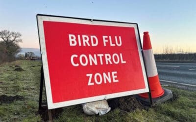 Control zones set up after bird flu outbreak in North Yorkshire 