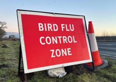 Control zones set up after bird flu outbreak in North YorkshireÂ