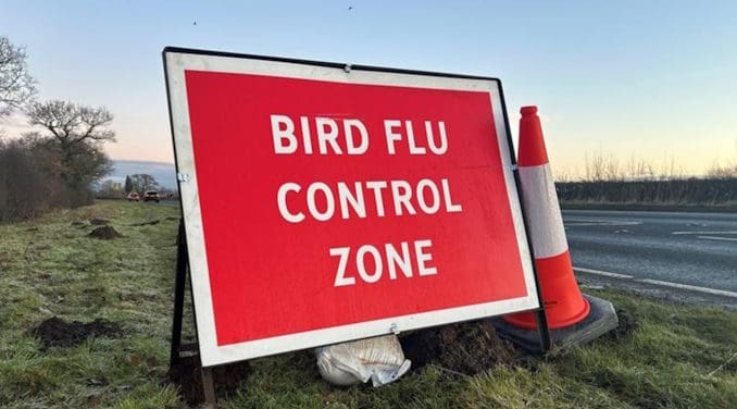 Control zones set up after bird flu outbreak in North Yorkshire 