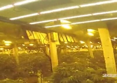 £1.2m cannabis farm found inside Sheffield city centre building
