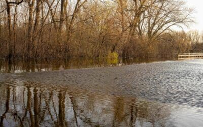 Flood warnings still in place throughout Doncaster after Storm Claudia hits UK