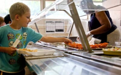 Free school meal pilot scheme proved ‘a major success’ in Hull