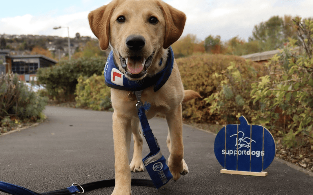 Compression Therapy Explainer