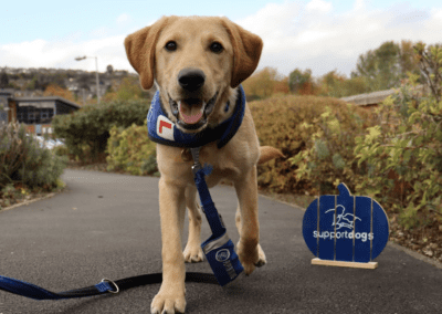 Compression Therapy Explainer