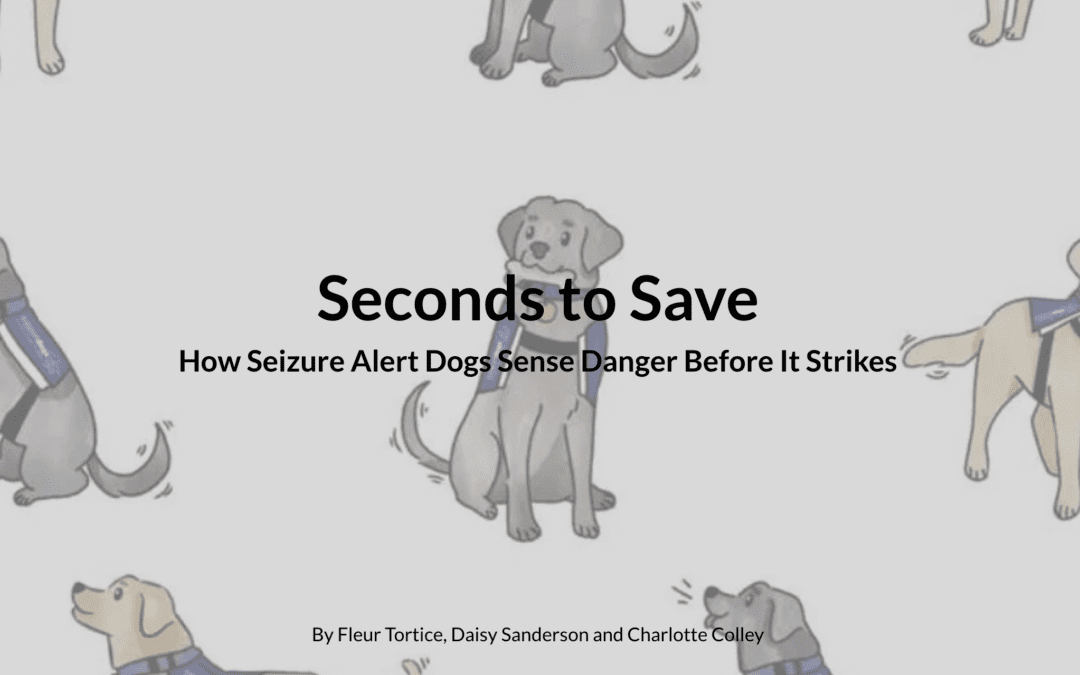 Seconds to Save: How Seizure Alert Dogs Sense Danger Before it Strikes