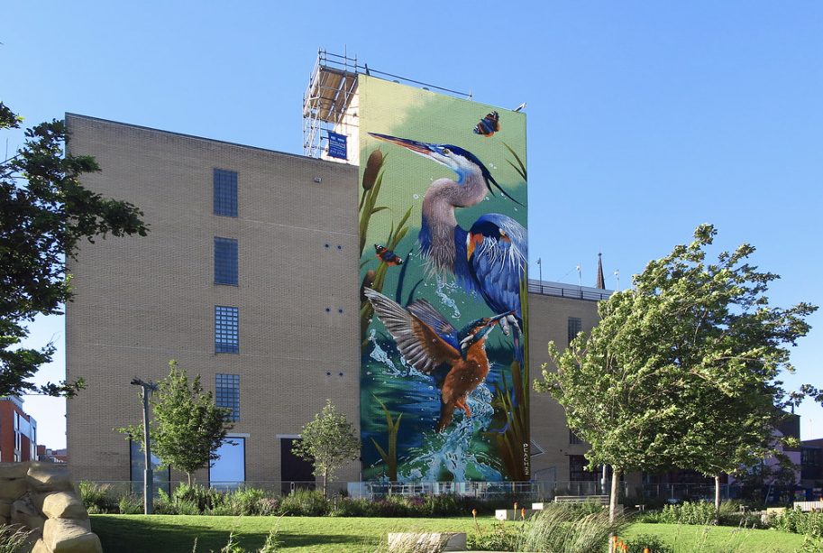 A photo of a mural with a heron and kingfisher pictured on the side of a building