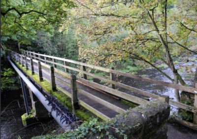 Nearly 2,000 people sign petition to bring back right of way to popular Sheffield woods