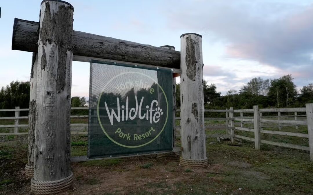 BREAKING: Man killed in Yorkshire Wildlife Park tiger attack named as Council launch investigation