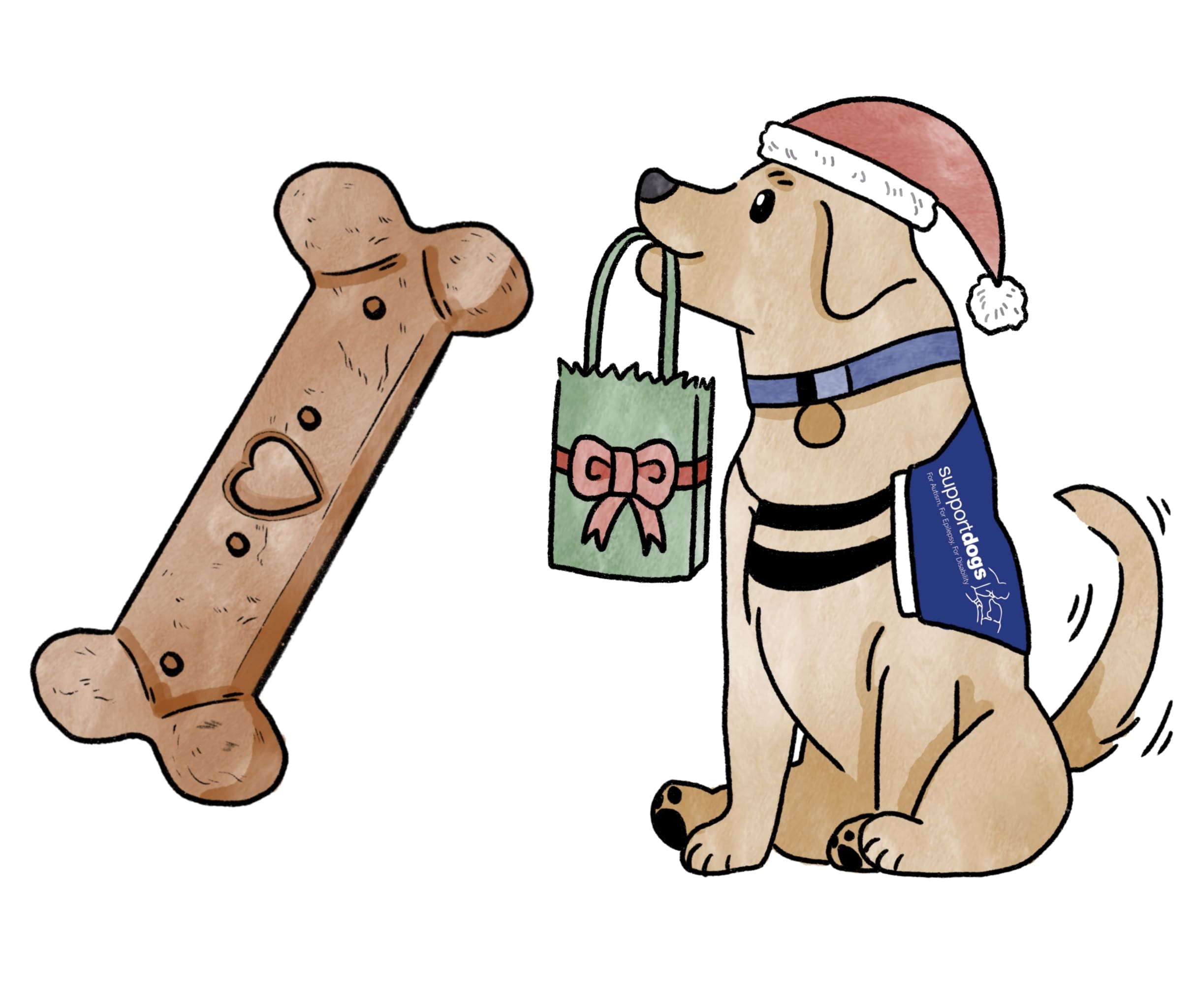 Chocolate labrador holding a bone illustration