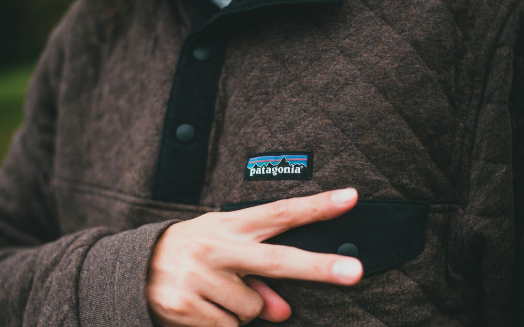 Patagonia’s Sustainability Policies, A Deep Dive