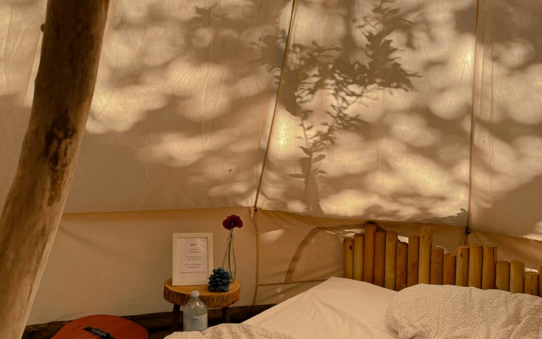 Tackling the summer slumber