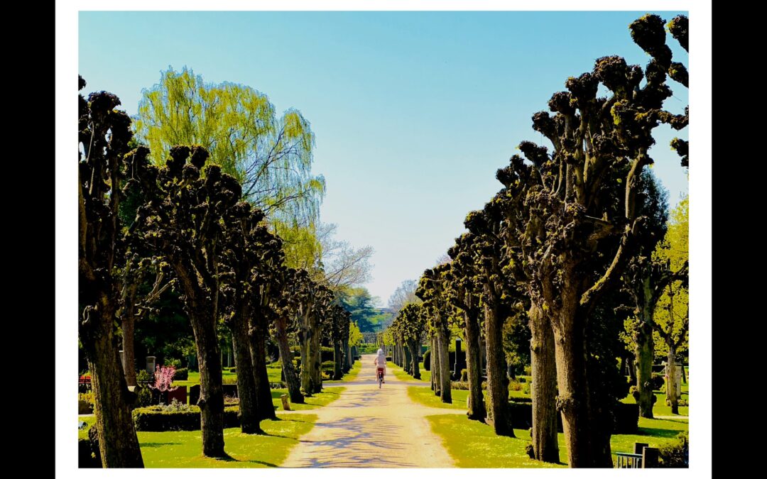 Uncovering Islands: Colourful houses and castles in Denmark’s Fyn