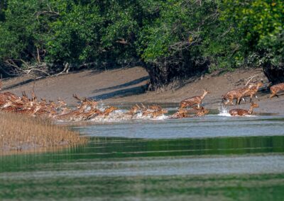 Bangladesh, a country rich in culture and hotspot for biodiversity