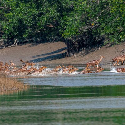 Bangladesh, a country rich in culture and hotspot for biodiversity