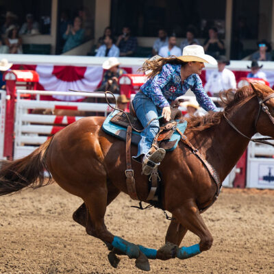 Calgary Stampede: dig in the culture of Canadian Cowboys