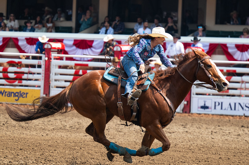 Calgary Stampede: dig in the culture of Canadian Cowboys