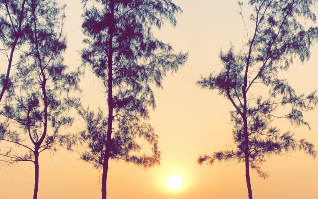 Bangladesh, exploring the second longest sandy beach in the world