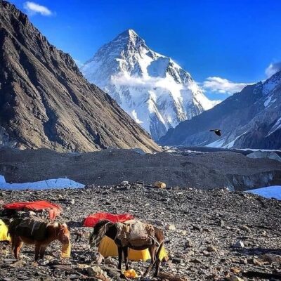 Conquering the Roof of the World: A trek to K2 Basecamp