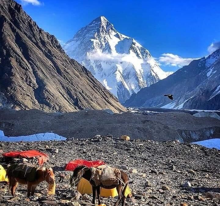 Conquering the Roof of the World: A trek to K2 Basecamp