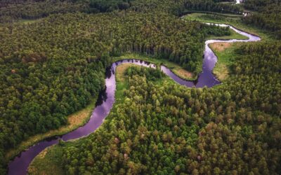 Amazon rainforest, the largest and most biodiverse rainforest in the world