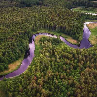 Amazon rainforest, the largest and most biodiverse rainforest in the world