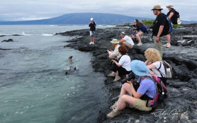 Galapagos Islands travel guide, explore the best of the islands